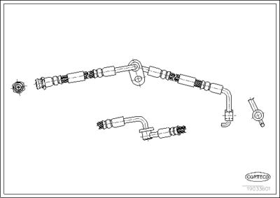 19033601 CORTECO Тормозной шланг