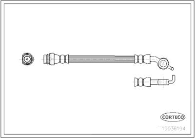 19036194 CORTECO Тормозной шланг