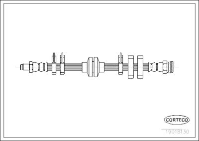 19018130 CORTECO Тормозной шланг