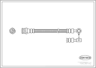 19036192 CORTECO Тормозной шланг