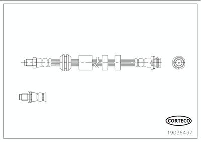19036437 CORTECO Тормозной шланг