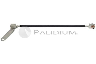 PAL30204 ASHUKI by Palidium Тормозной шланг