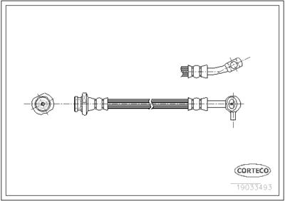19033493 CORTECO Тормозной шланг