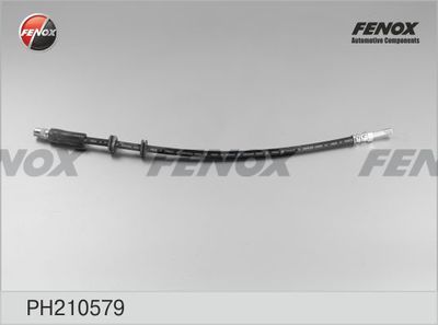 PH210579 FENOX Тормозной шланг