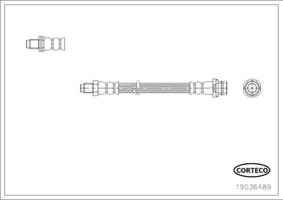 19036489 CORTECO Тормозной шланг