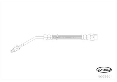 19036601 CORTECO Тормозной шланг