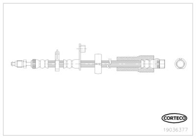 19036377 CORTECO Тормозной шланг