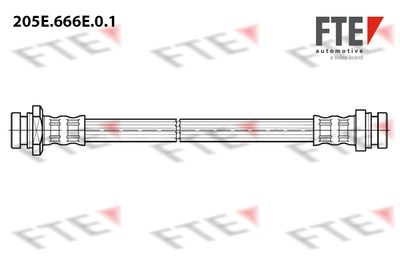 205E666E01 FTE Тормозной шланг