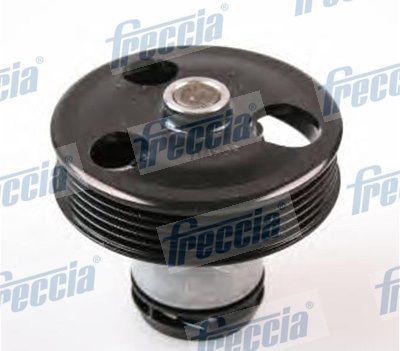 Pump Freccia                WP0549